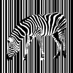 A zebra with a striped background
