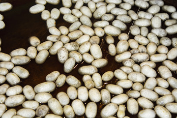 silkworm cocoons