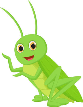 Cute Grasshopper Cartoon