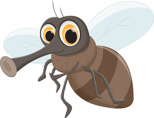cute Fly cartoon