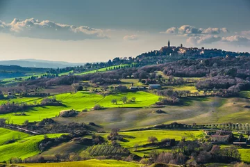 Foto op Canvas Indescribable panoramic view of the Tuscan countryside. © Jarek Pawlak