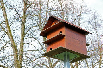 Feeding birds in winter in a house, standing high, is safe from cats
