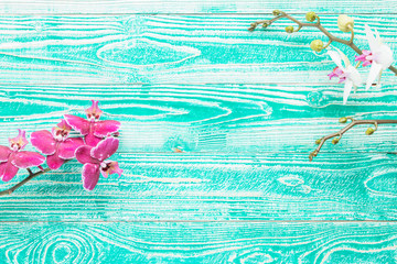 violet and white orchid flower on turquoise colored wooden background top view