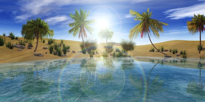 oasis in the desert, palm trees and lake