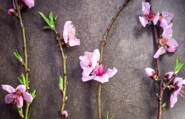 Obraz na płótnie Canvas Branch with peach flowers on flat stone background 