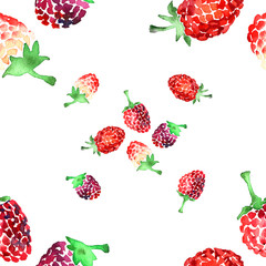 Watercolor Berry set raspberry 3