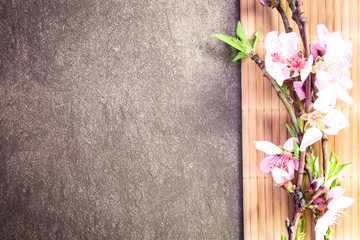 Branch with peach flowers and bamboo on flat stone background 