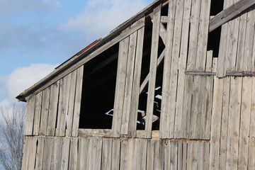 Old weathered barn, missing boards, faded and cracked, turning gray with age, still attached to barn. 