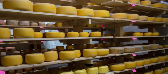 Cheese refining on shelves © FreeProd