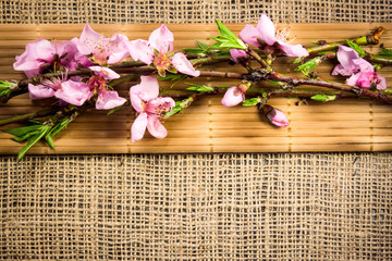 Branch with peach flowers on bamboo and hemp fabric texture 