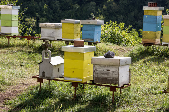 Several painted wooden bee hives in a orchard.