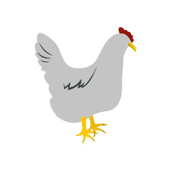 Gray hen icon 