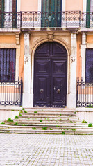Fototapeta na wymiar entrance way with steps