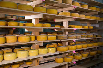 Obrazy na Szkle  Uszlachetnianie sera na półkach
