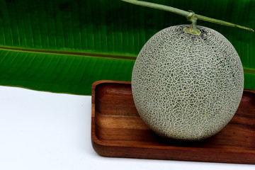 Melon