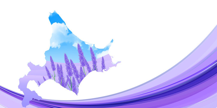 ラベンダー　北海道　風景　背景
