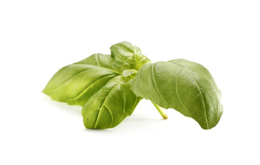 basil 