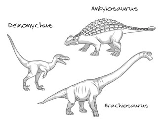 Thin line engraving style illustrations, various kinds of prehistoric dinosaurs, it includes deinonychus, ankylosaurus, brachiosaurus