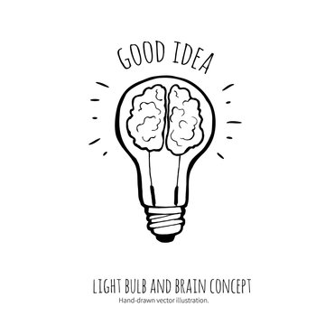 Lightbulb  and brain. Idea concept. Hand-drawn illustration.