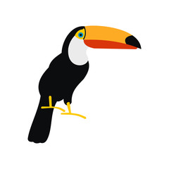 Toucan icon, flat style  © juliars