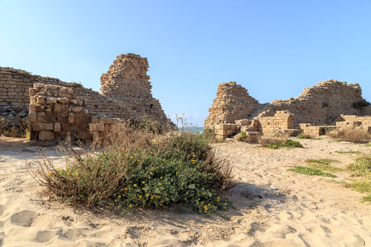 The archaeological ruins are on the Mediterranean coast of Israel. Ashdod