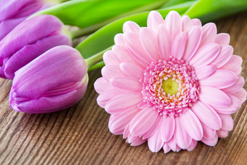Blumen - Tulpen und Gerbera
