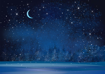 Fototapeta premium Vector winter wonderland night background.