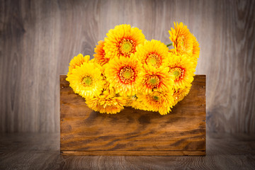 Bouquet of gerber flowers in the box on wooden background