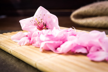 Peach flowers and bamboo on flat stone background 