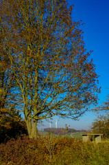 Rastplatz bei Ulm mit Windrädern im Hintergrund