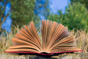 Opened hardback book diary, fanned pages on blurred nature lands