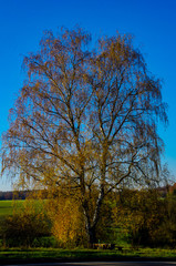 Obraz premium Rast Plätzle im Schwabenland bei Ulm