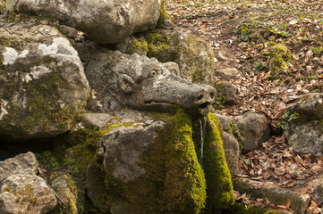 Fototapeta na wymiar Mountain forest spring with head of dragon carved into rock 