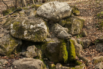 Mountain forest spring with head of dragon carved into rock 