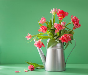 beautiful pink tulip flowers bouquet in watering can