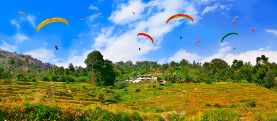 Paragliders flying over the Himalayas and rice fields , Pokhara , Nepal