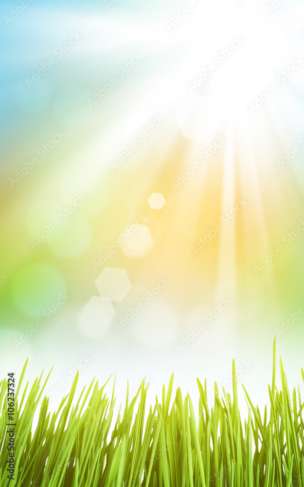 Aufkleber Abstract sunny spring background with grass