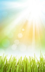 Fototapeta na wymiar Abstract sunny spring background with grass