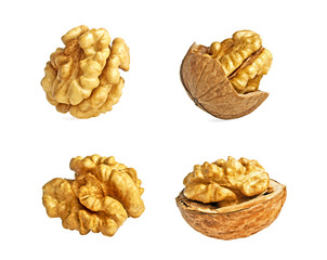 Set of different kernel walnuts isolated on a white background