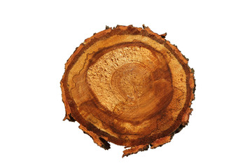 Faktura okrągłego drewna.