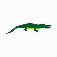 Crocodile icon, flat style