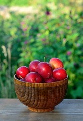 ripe plum, cherry plum in a wooden Cup
