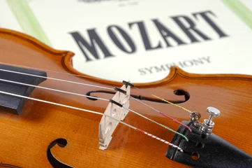 Deurstickers Geige oder Violine © Wolfilser