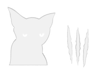 Sad cat and it scratches