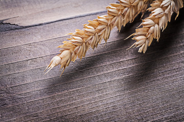 Wheat rye ears on vintage wooden board