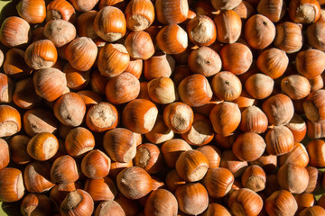 hazelnuts on a big green plate