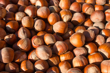 hazelnuts on a big green plate