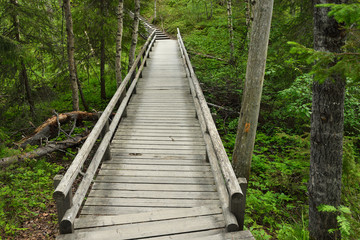 Oulanka National Park