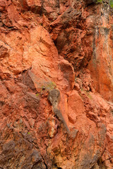 Red Quartzite