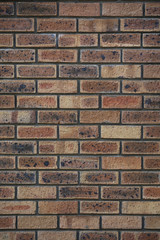 red brickwall. perfect for background.